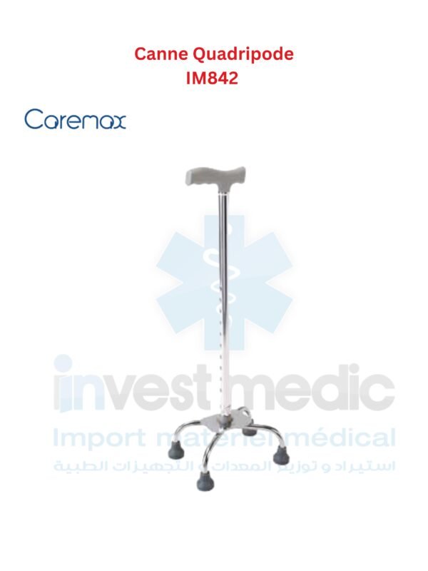 Canne Quadripode IM842
