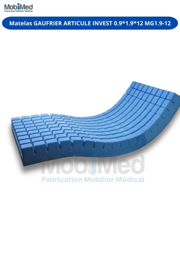 Matelas GAUFRIER ARTICULE INVEST 0.9*1.9*12 MG1.9-12