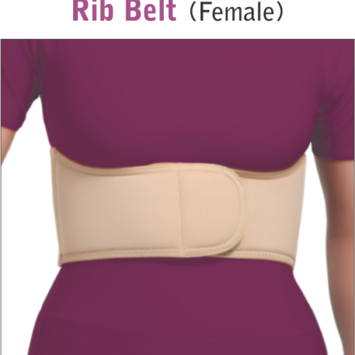 Rib Belt (Female) OC-2204