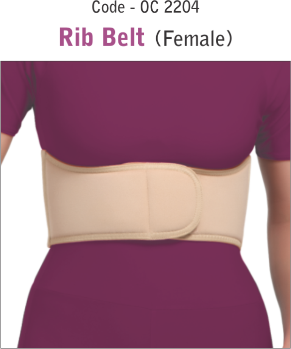 Rib Belt (Female) OC-2204